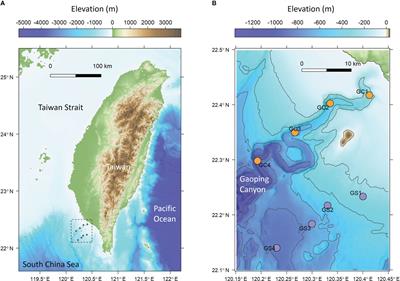 Response of the benthic biomass-size structure to a high-energy submarine canyon